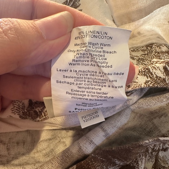 Pottery Barn Matine Toile Shams - Picture 9 of 9